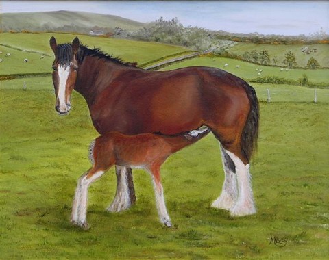 Annabel the Clydesdale mare with her foal