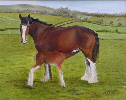 Annabel the Clydesdale mare with her foal