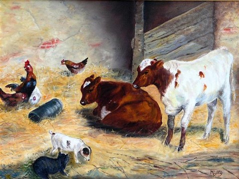 Calves and company in a byre