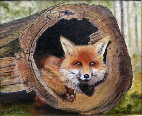 Young fox in a log