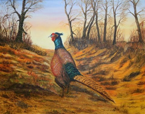 Henry the pheasant