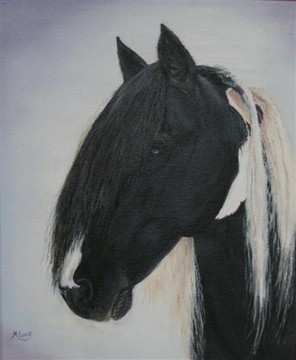 Minstrel the black and white stallion