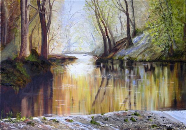 Carrick bridge from the weir on a day in spring